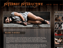 Tablet Screenshot of intersecinteractive.com